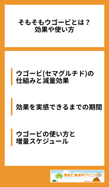 そもそもウゴービとは？効果や使い方