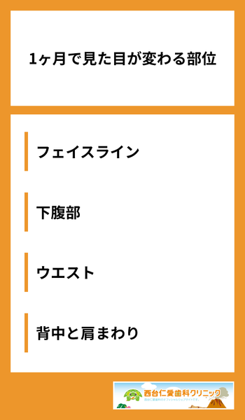 大見出し直下画像 1ヶ月で見た目が変わる部位